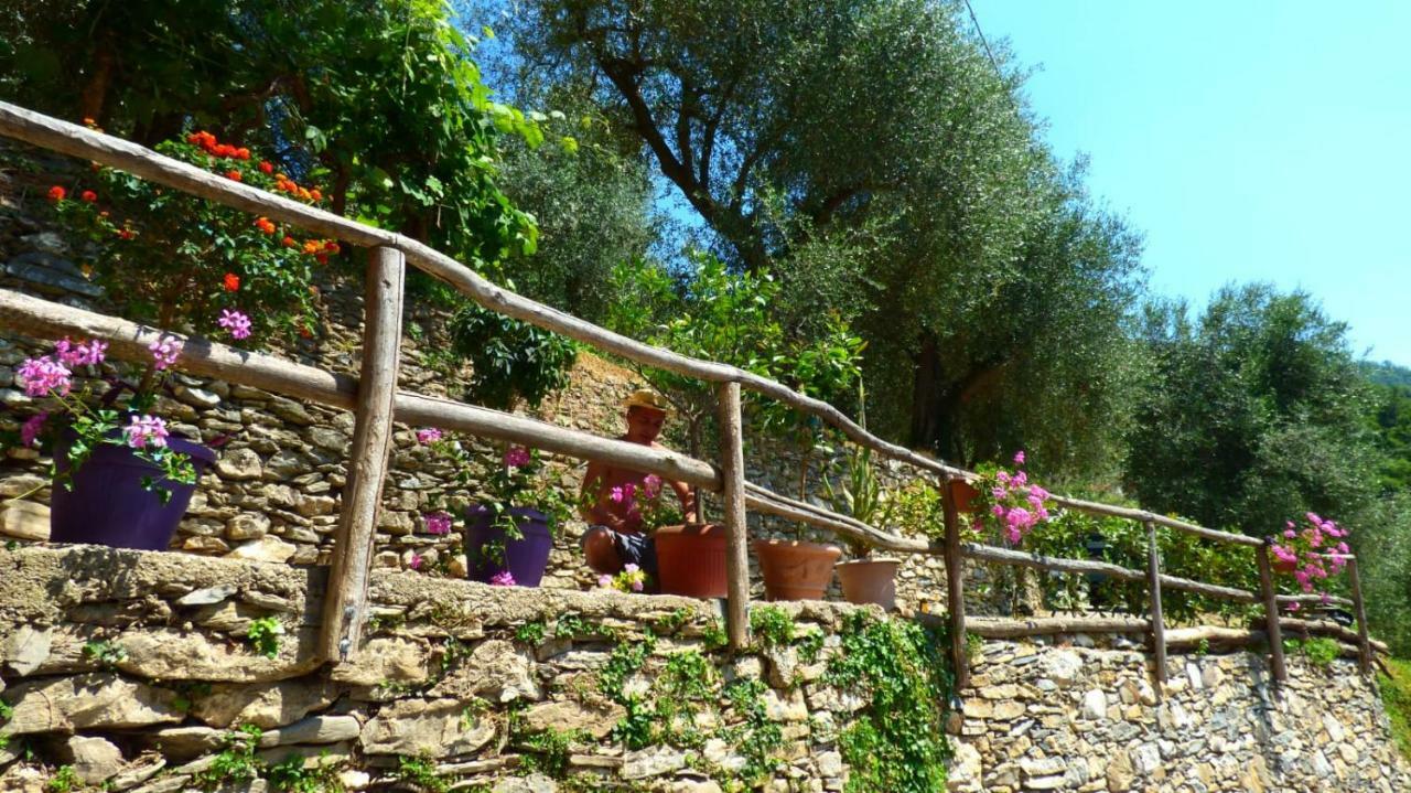 Casa Vacanze Sole Borghetto d'Arroscia Exterior foto